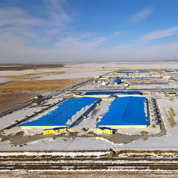 洵谷为中粮家佳康打造智能供应链管理系统，助力养殖业高效运营